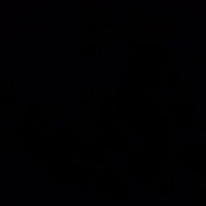 Meet your Posher, Lila